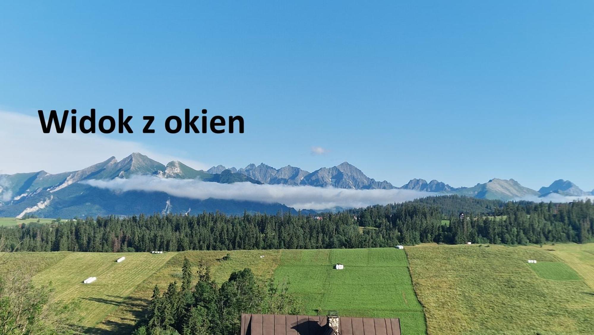Pokoje Goscinne U Siyly 布库维纳塔然斯卡 外观 照片
